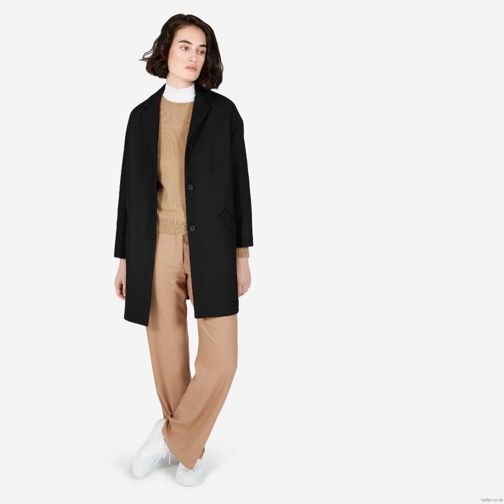 Everlane Cocoon Coat (black, 4)